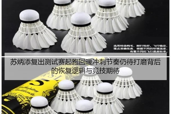 苏炳添复出测试赛起跑回暖冲刺节奏仍待打磨背后的恢复逻辑与竞技期待 - KAIYUN